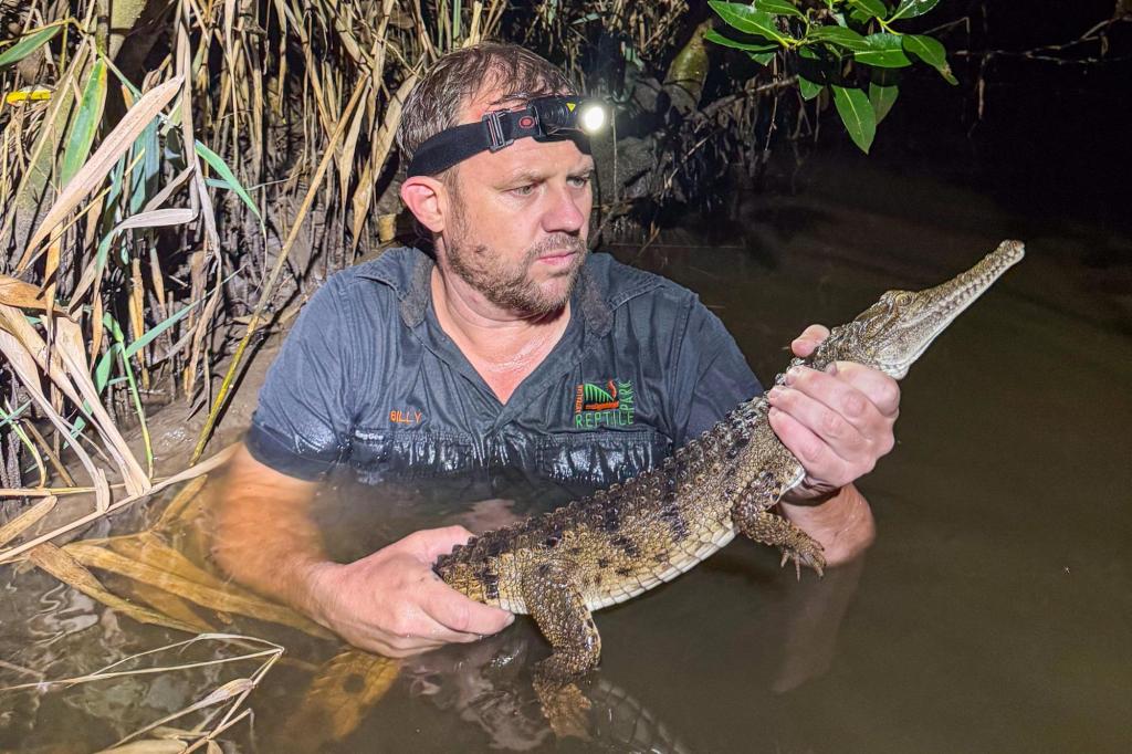 Crocodile caught in Australian creek 1,200 miles from tropical habitat