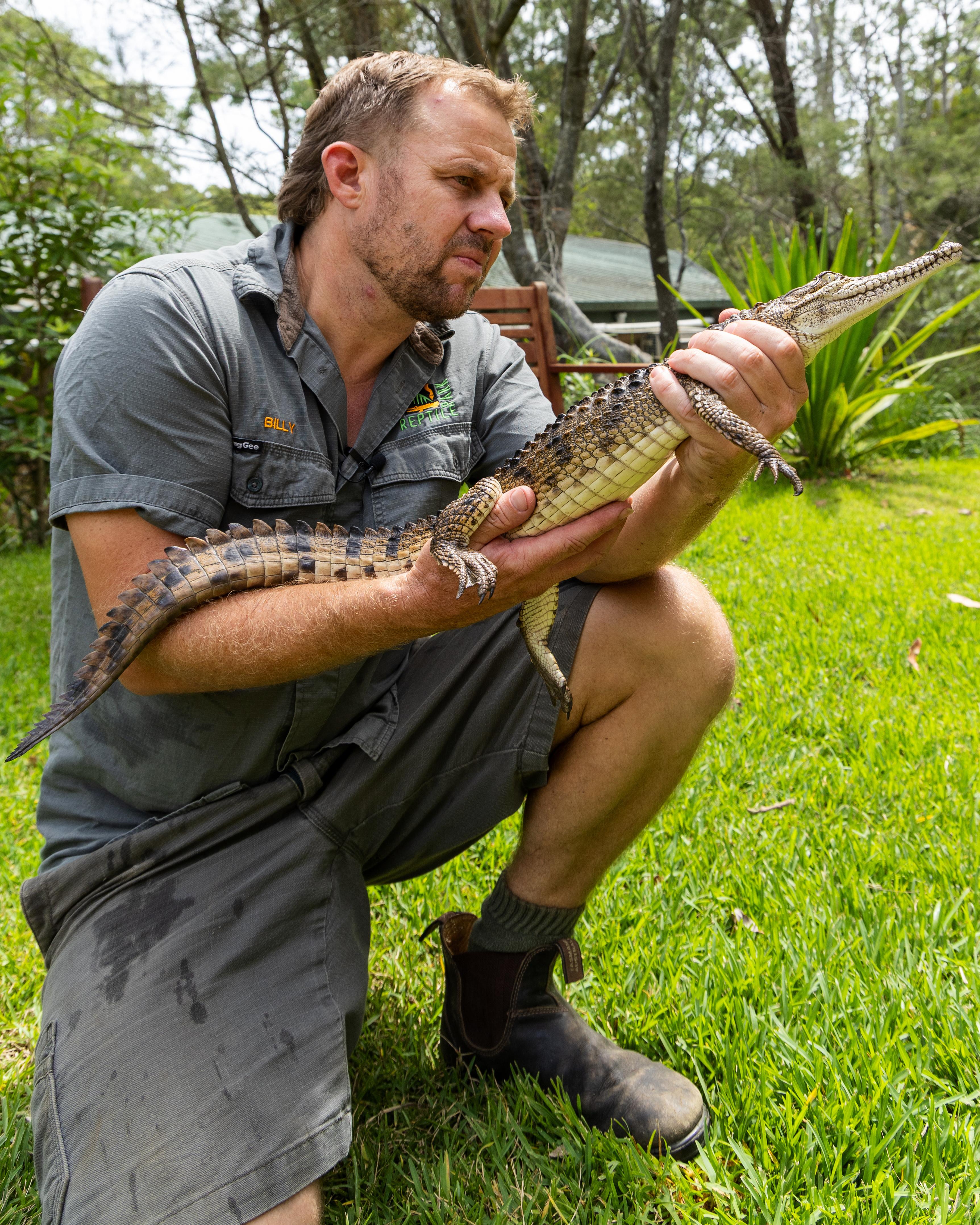 Billy Collett holds a freshwater crocodile caught in a creek near Newcastle, Australia.