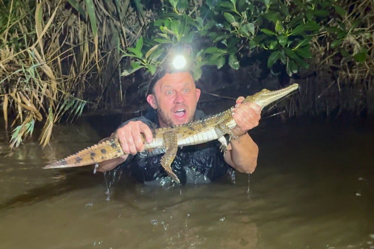 Boy discovers juvenile crocodile at local swimming spot
