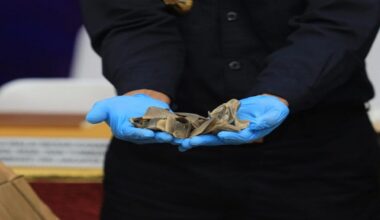 Jakarta port authorities seize 3 tons of pangolin scales in Cambodia-bound container