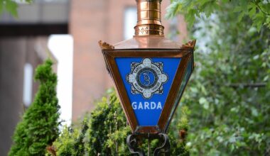 Woman (50s) arrested after discovery of man’s body in Tallaght – The Irish Times