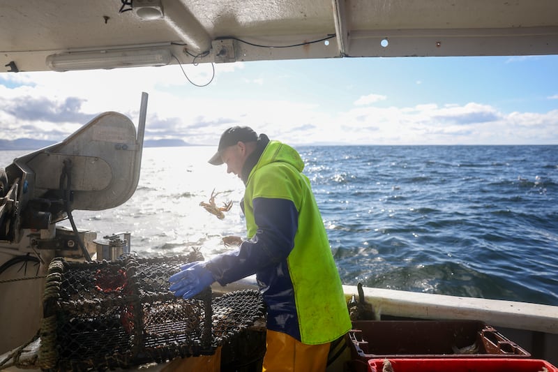 Menarry throws out a crab that became ensnared in his lobster pot. Photograph: Enda O'Dowd