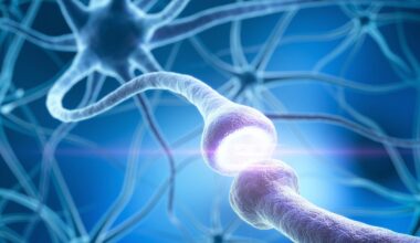 Breathing and brain signals fall out of sync during deep sleep