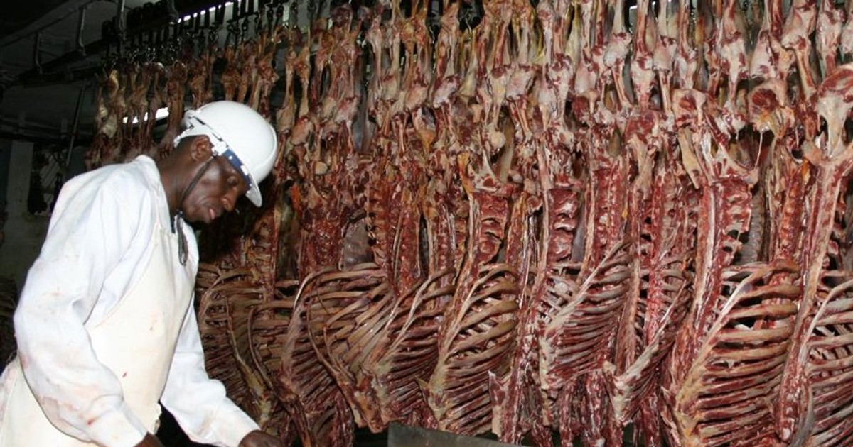 Kenya’s $2.3 million weekly meat trade crashes amid conflict in the Middle East