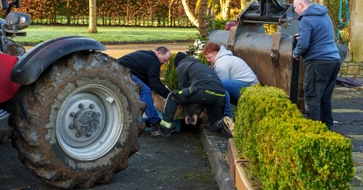 Judge told Meath couple have ‘lost everything’ as demolition of home continues – The Irish Times
