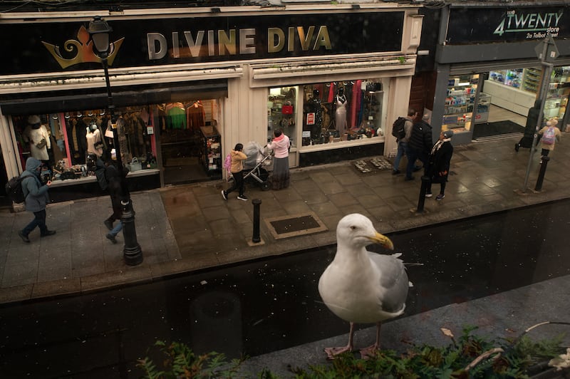 'Divine Diva': A seagull perched near a window on Talbot Street, with people walking in the street