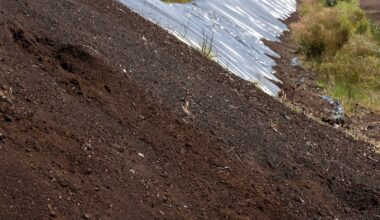 Ireland has no known legal commercial peat extraction. Yet it exported €40m worth last year – The Irish Times