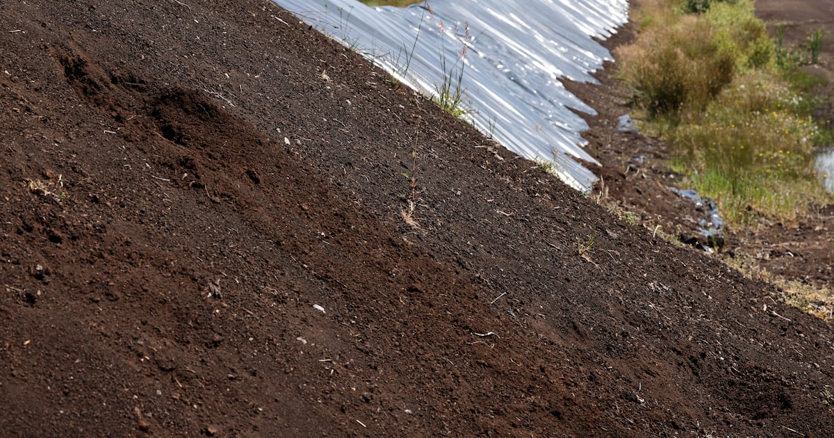 Ireland has no known legal commercial peat extraction. Yet it exported €40m worth last year – The Irish Times