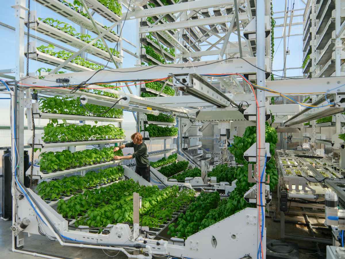 Image of a Canopii farm in operation.