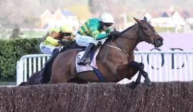 Paddy’s Best-Backed Horses in 2026 – Paddy Power News