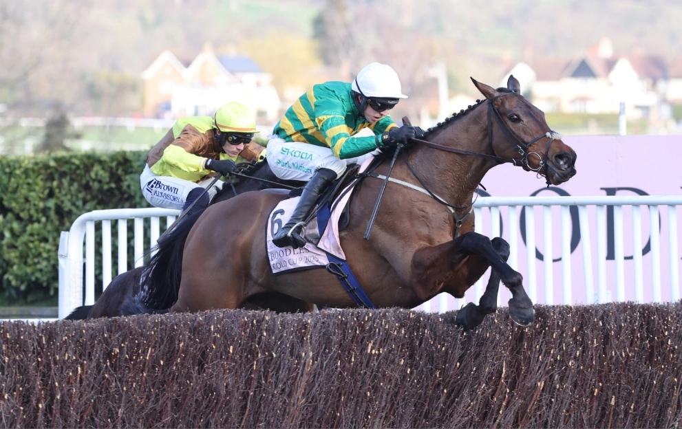 Paddy’s Best-Backed Horses in 2026 – Paddy Power News