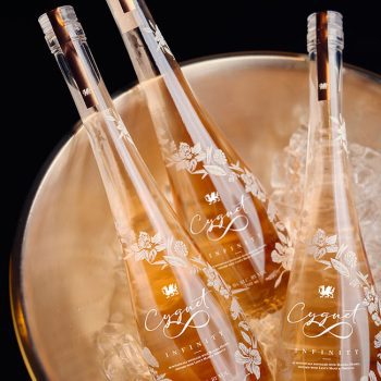 Cygnet-Infinity-Katherine-Jenkins