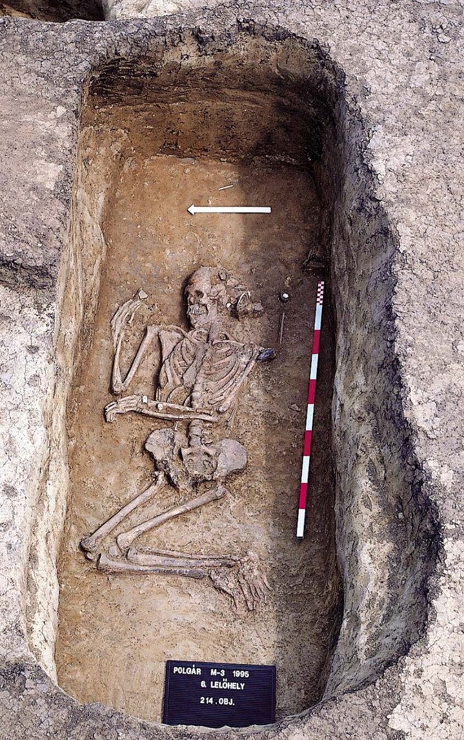 a skeleton lying partly on its right side in an excavated grave with archaeological sign and meter stick in view