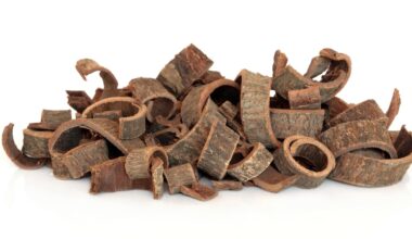 Magnolia bark extract offers new approach to reversing skin ageing via mitochondrial health