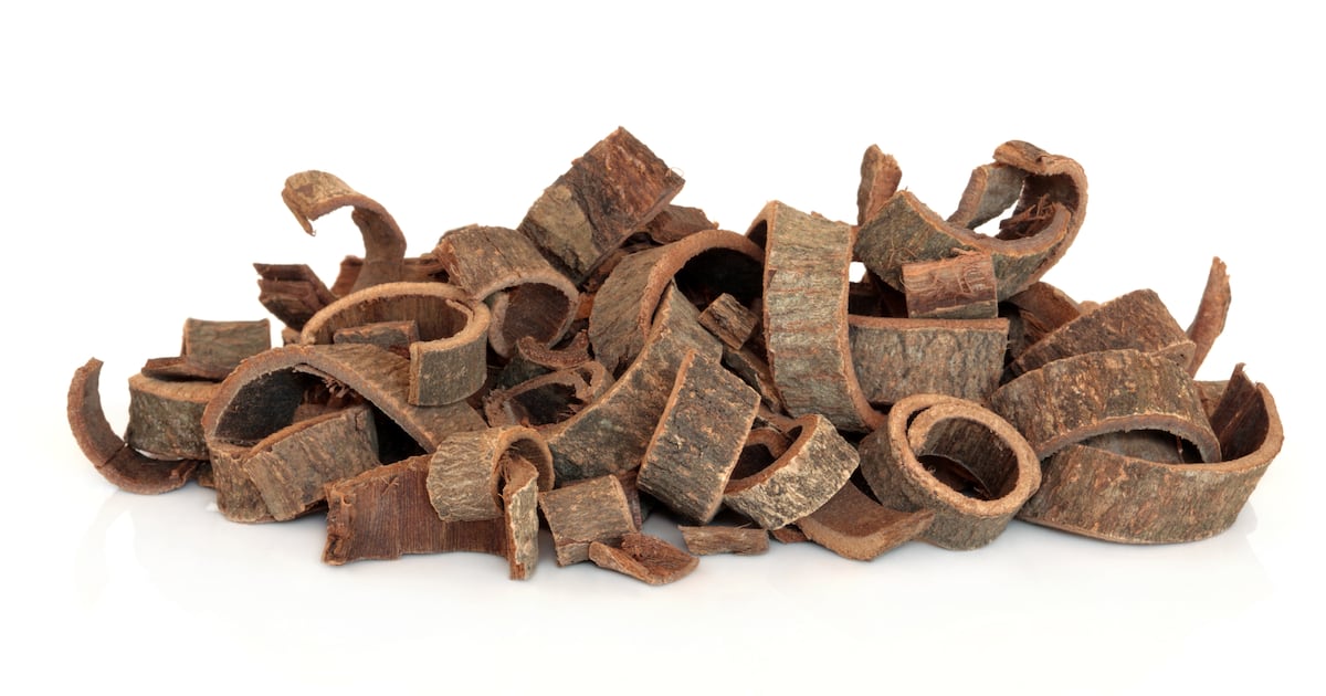Magnolia bark extract offers new approach to reversing skin ageing via mitochondrial health