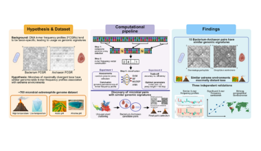 Do Extreme Environments Shape Microbial Genomes?