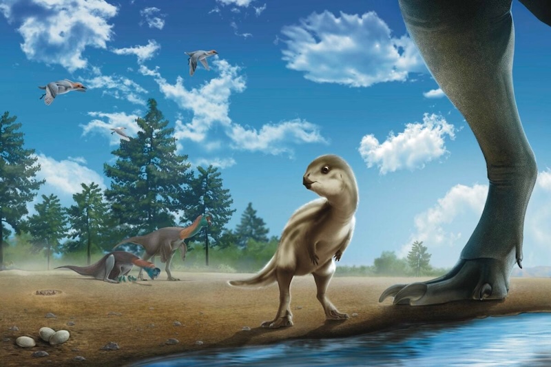 A small brownish dinosaur standing on its hind legs. In the foreground is a large dinosaur leg, and the background has more dinosaurs and birds in front of trees.