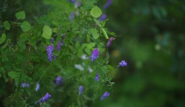 Camera sensors love green. But as a photographer, I have a love-hate relationship with green