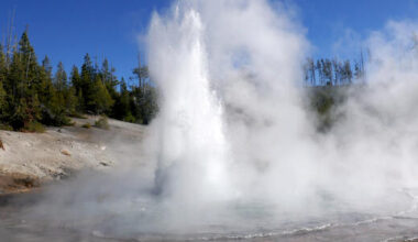 Echinus Geyser is back in action! For now…