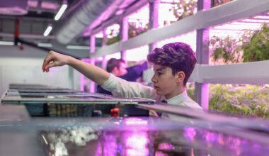 Belvedere College’s rooftop farm that supplies two Michelin-star restaurant Chapter One – The Irish Times