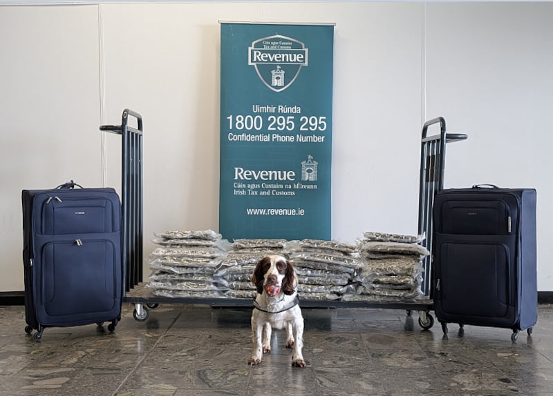 Revenue detector dog Brody alongside a 40kg haul of cannabis, valued at €800,000, sniffed out at Shannon Airport. Photograph: Revenue