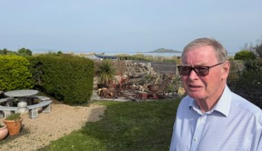 Man wants reprieve for €300,000 Sutton extension – The Irish Times