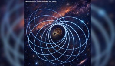 A black hole and a neutron star, both black spheres with one having an orange series of circles around them circle each other against a starry background. The neutron star&rsquo;s path is shown in blue with larger circles and the black hole&rsquo;s motion in orange as the two objects orbit each other.