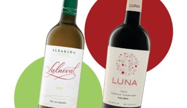 Two great Lidl wines at less than €10, including one of our favourite whites – The Irish Times