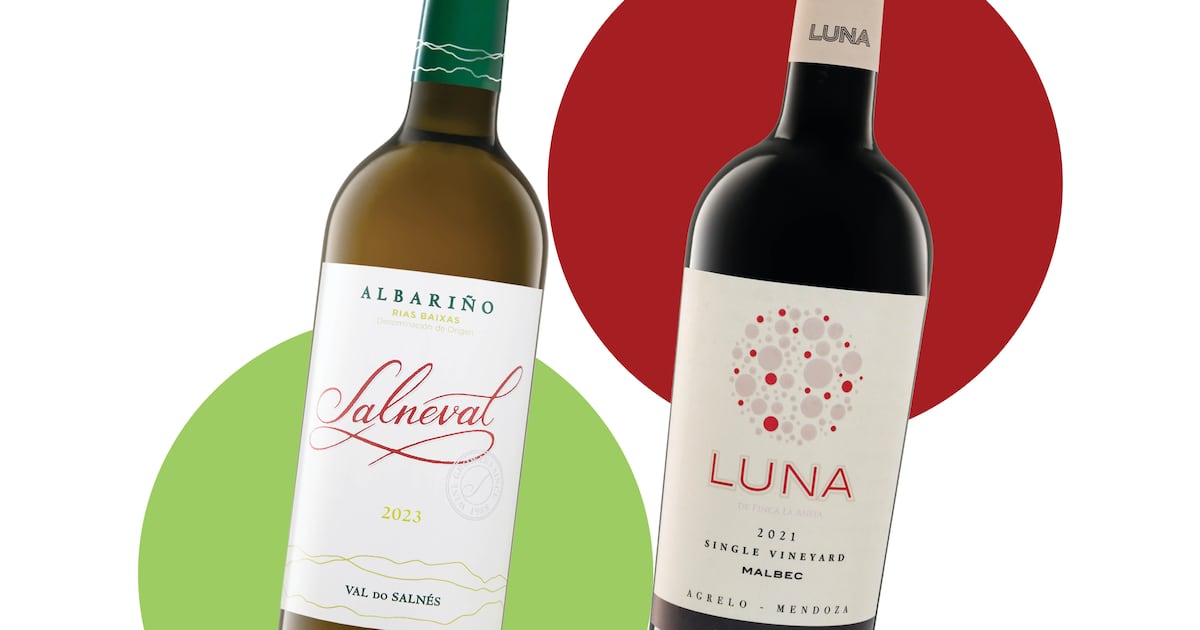 Two great Lidl wines at less than €10, including one of our favourite whites – The Irish Times