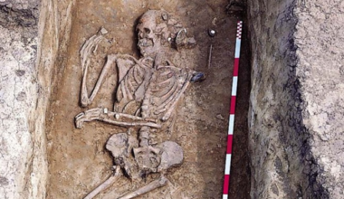 cropped image of a human skeleton being excavated on an archaeological site