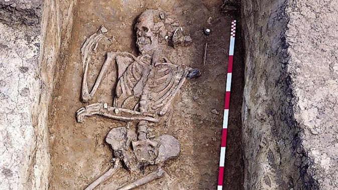 cropped image of a human skeleton being excavated on an archaeological site