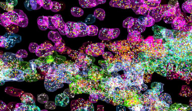 Genomics, multiomics, and spatial biology at AGBT 2026