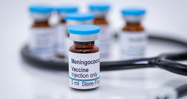Meningococcal vaccine