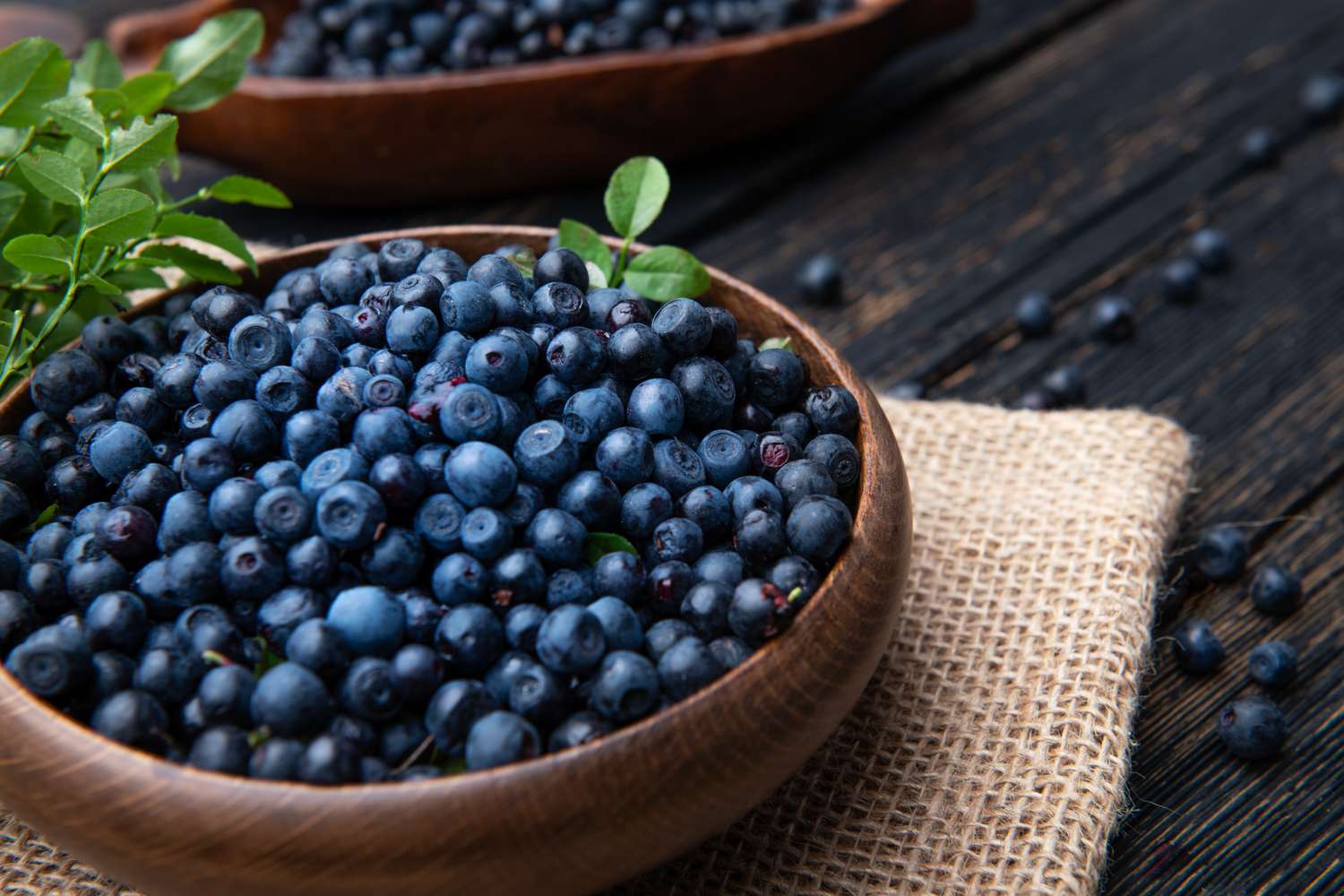Why Wild Blueberries Might Be the Most Powerful Fruit in the Produce Aisle