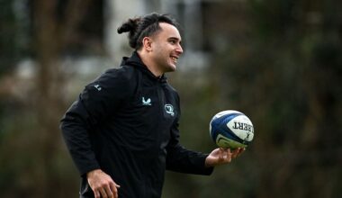 Lowe's Leinster future up in the air, Tigers in lock search