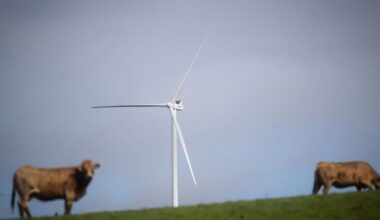 EU climate advisers say eat less meat and tax farm emissions – POLITICO