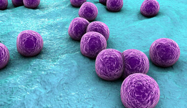 MRSA bacteria