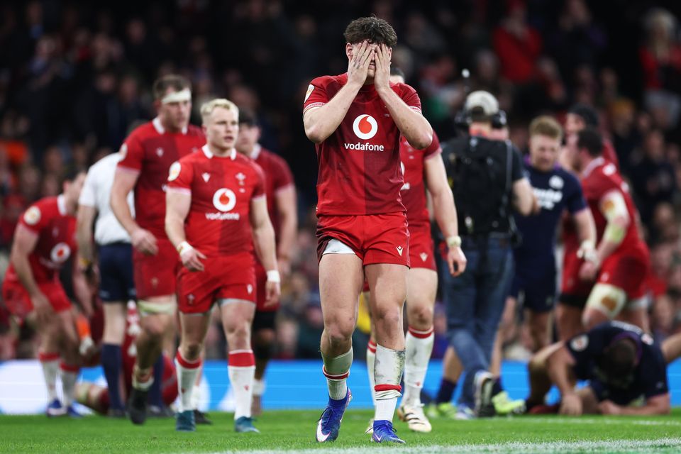 Wales' Eddie James reacts to Scotland's late winning try. Photo: Dan Istitene/Getty