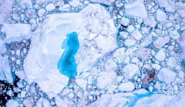 An overhead view of melting ice in Greenland
