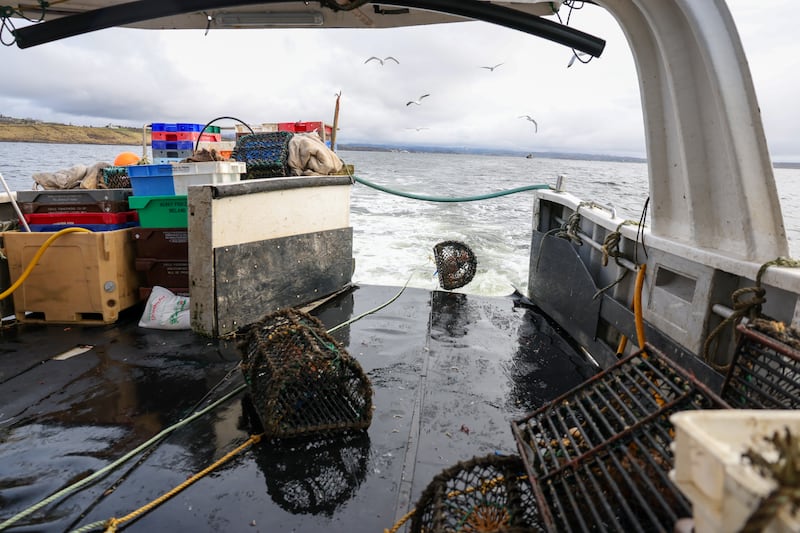 The last lobster pot of the day flies off the back of Charlie Boy 2. Photograph: Enda O'Dowd