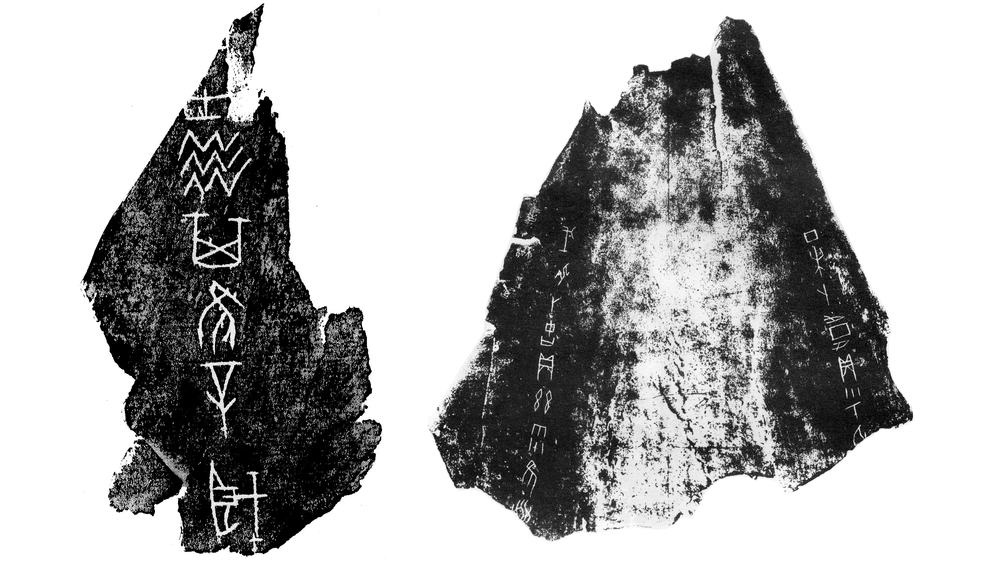 two black and white illustrations of inscribed oracle bones