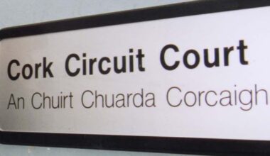 Man (45) convicted of sexually assaulting six boys at fast-food outlet after psychotherapist alerted gardaí – The Irish Times