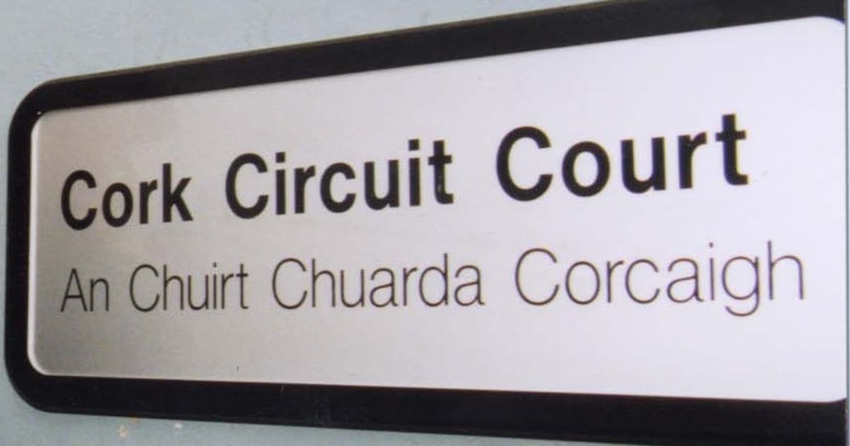 Man (45) convicted of sexually assaulting six boys at fast-food outlet after psychotherapist alerted gardaí – The Irish Times