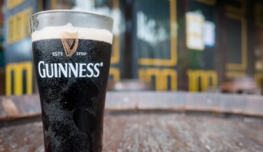 Should Diageo sell everything else and change its name to Guinness plc? – The Irish Times