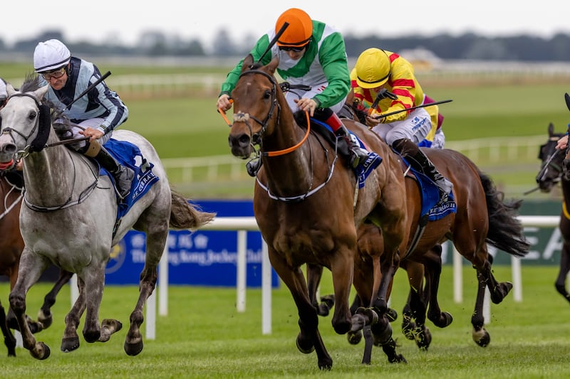 Colin Keane on Crystal Black comes home to win at the Curragh in May 2024. Photograph: Morgan Treacy/Inpho 