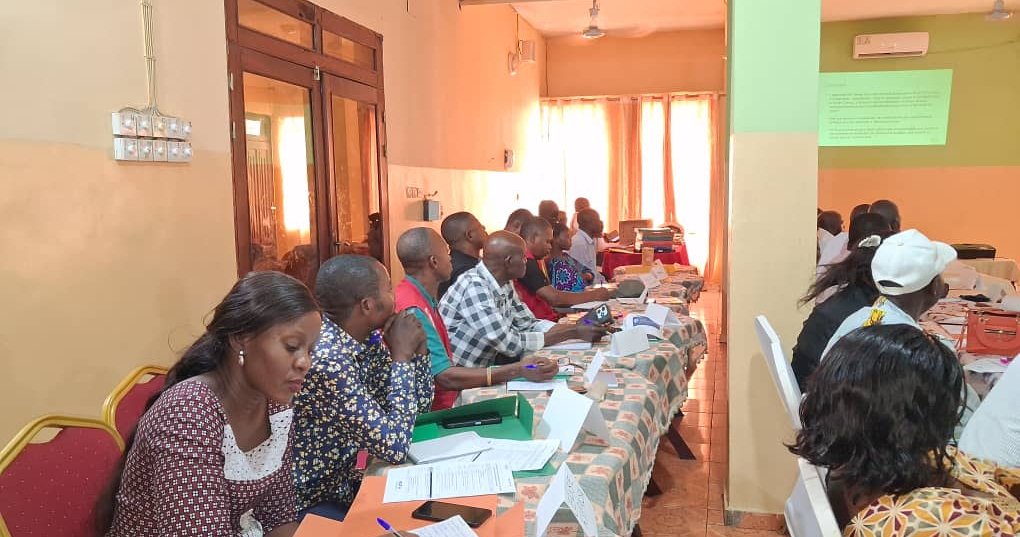 Non-traditional partners drive malaria vaccine uptake in the DRC