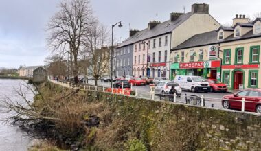 Eyesore tree too costly to remove from river Lennon, councillors told