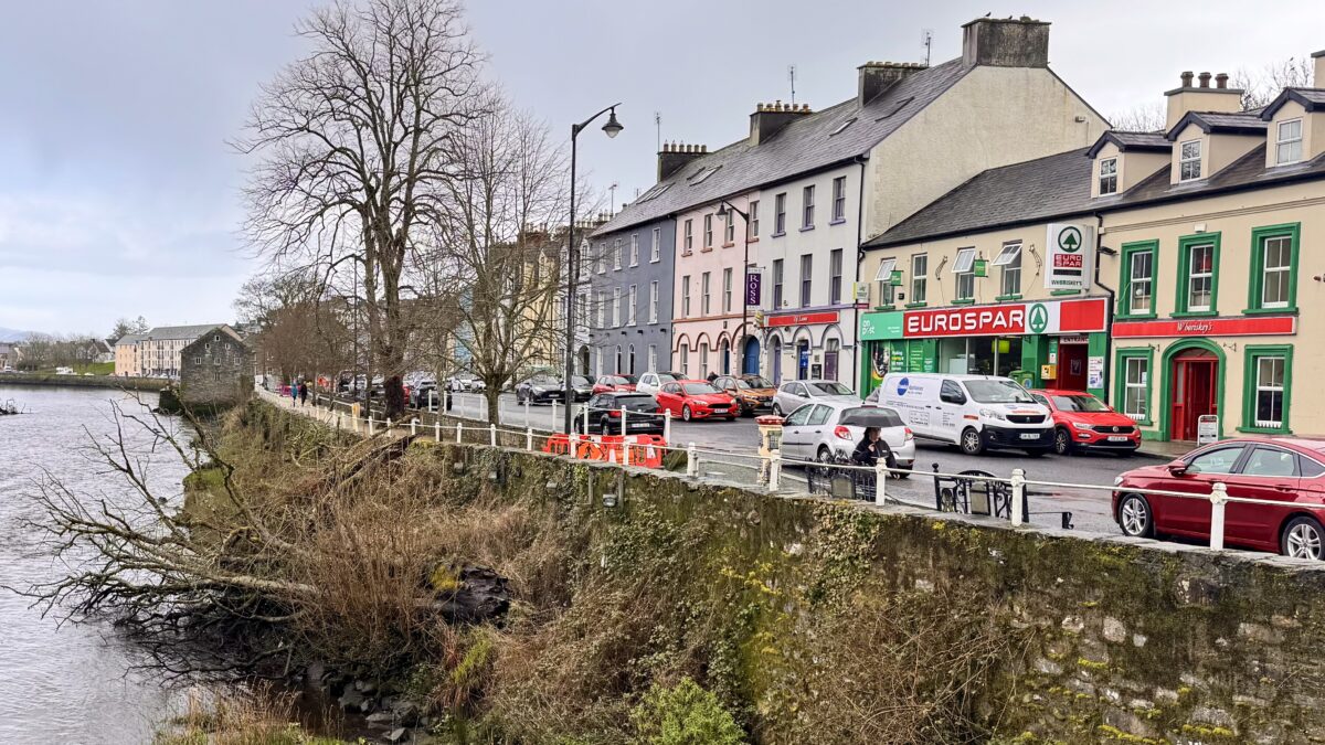 Eyesore tree too costly to remove from river Lennon, councillors told