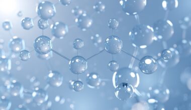 How N-Acylethanolamines Control Appetite, Energy Balance, and Metabolic Health