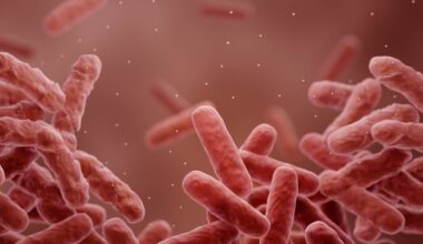 Why Some Bacteria Survive Antibiotics